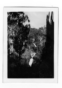 Shows Steavenson Falls in Marysville in Victoria. Shows the falls cascading down the mountain surrounded by forest. On the reverse of the image the location and date taken are written in blue biro.