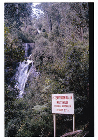 Shows Steavenson Falls in Marysville in Victoria. Shows the falls cascading down the mountain surrounded by forest. In the lower right corner of the image there is a sign that says Steavenson Falls, Marysville, Victoria, Australia, Height 271 ft.