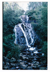 Shows Steavenson Falls cascading down the mountain, over rocks and into the river below. The falls are surrounded by forest.