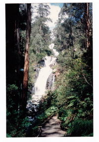 Shows Steavenson Falls cascading down the mountain surrounded by forest. Shows the track that leads to the falls.