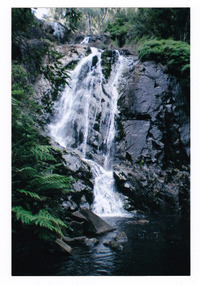 Shows the Steavenson Falls in Marysville in Victoria. Shows the falls cascading over rocks into the river at the base.