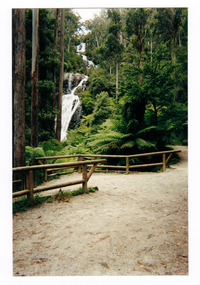 Shows the walking track leading to Steavenson Falls in Marysville in Victoria. Steavenson Falls can be seen in the background surrounded by forest.