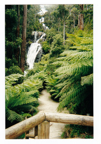Show the walking track leading to Steavenson Falls in Marysville in Victoria. The falls can be seen in the background surrounded by forest.