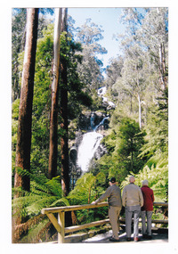 Shows a group of three men standing at the viewing platform at Steavenson Falls in Marysville in Victoria. The falls can be seen in the background surrounded by forest.
