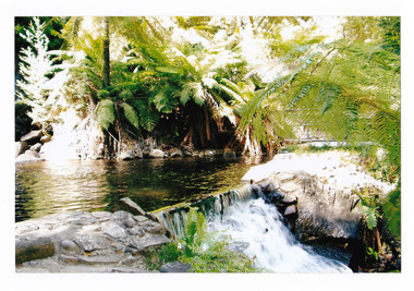 Shows the pool at the base of the Steavenson Falls in Marysville in Victoria. Shows the pool surrounded by trees and tree ferns and the water flowing over the edge into the Steavenson River.