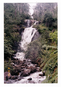Shows the Steavenson Falls in Marysville in Victoria. Shows the falls cascading down the mountain which is surrounded by forest. The falls are flowing into the Steavenson River which can be seen at the base of the falls.