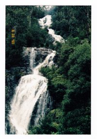 Shows Steavenson Falls in Marysville in Victoria. Shows the falls cascading down the mountain surrounded by the forest.
