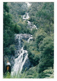 Shows Steavenson Falls in Marysville in Victoria. Shows the falls cascading down the mountain surrounded by forest. 