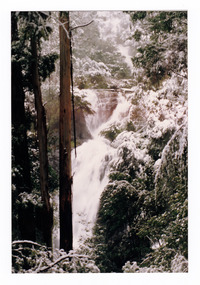 Shows Steavenson Falls in Marysville in Victoria after a snowfall. Shows the falls cascading down the mountain surrounded by forest.