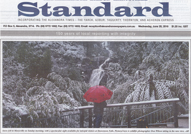 Shows a front page article in the Alexandra-Eildon-Marysville Standard newspaper showing a snow event at Steavenson Falls in Marysville in Victoria. Shows a man standing under a red umberella at one of the viewing platforms looking at the falls which are surrounded by forest.
