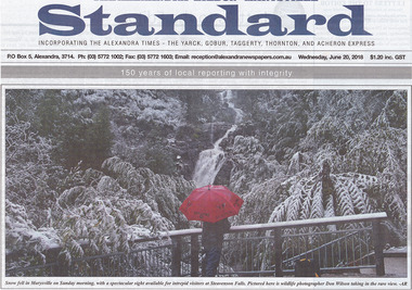 Shows a front page article in the Alexandra-Eildon-Marysville Standard newspaper showing a snow event at Steavenson Falls in Marysville in Victoria. Shows a man standing under a red umberella at one of the viewing platforms looking at the falls which are surrounded by forest.
