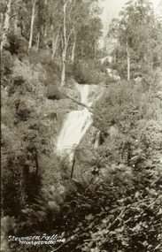 Shows Steavenson Falls in Marysville in Victoria. Shows the falls cascading down the mountain surrounded by forest.