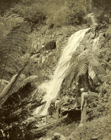 Shows Steavenson Falls in Marysville in Victoria. Shows the falls cascading down the mountain surrounded by trees and tree ferns. Shows two men at the base of the falls. In the foreground a dog can also be seen.