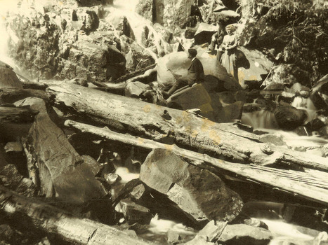 Shows a group of three people, a lady and two men, sitting and standing on large boulders at the base of Steavenson Falls in Marysville in Victoria. In front of the people is a large log that has several inscriptions carved into it that is lying across the river the falls run into.