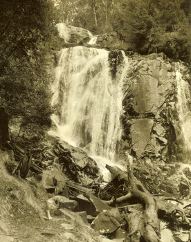 Shows a man and a dog standing in front of one of the tiers of Steavenson Falls in Marysville in Victoria. The man is standing on a fallen log which is surrounded by a few large boulders looking at the dog which is on a path next to the log.