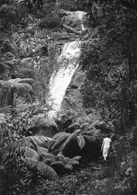 Shows a woman wearing a white dress walking along the track that leads to the base of Steavenson Falls in Marysville in Victoria. The falls can be seen in the background.