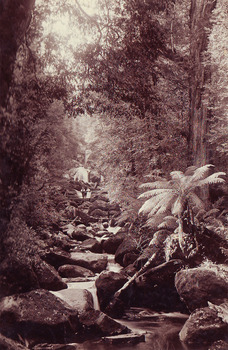 Shows a man and a woman standing on the bridge that crosses the Steavenson River at the base of the Steavenson Falls in Marysville in Victoria.