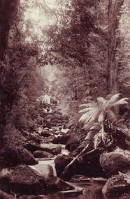 Shows a man and a woman standing on the bridge that crosses the Steavenson River at the base of the Steavenson Falls in Marysville in Victoria.