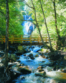Shows the wooden bridge that transveres the Steaveson River at the base of the Steavenson Falls in Marysville in Victoria. The falls can be seen in the background. 