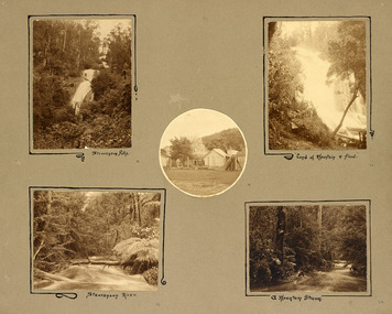 Shows an album page with five photographs. Photographs are of Steavenson Falls, Steavenson River, a river flowing through a forest, one tier of the Steavenson Falls and a wooden house in a paddock.