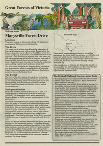 A flyer with information on the Marysville Forest Drive in Victoria and the sights and attractions to be found along the drive.