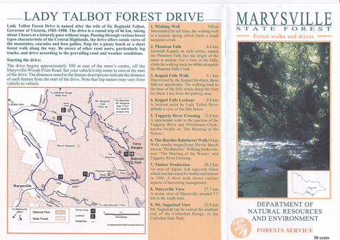 A brochure that was produced as a guide to Lady Talbot Forest Drive in Marysville in Victoria.