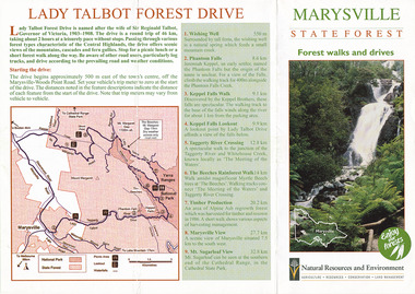 A brochure that was produced as a guide to Lady Talbot Forest Drive in Marysville in Victoria.