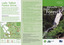 A brochure that was produced as a guide to Lady Talbot Forest Drive in Marysville in Victoria.