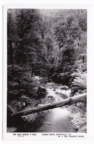 Shows the Taggerty River in Marysville in Victoria. Shows the river flowing through the forest. In the foreground a fallen tree lies across the river. On the reverse of the postcard is space to write a message and an address and to place a postage stamp. The postcard is unused.