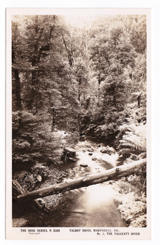 Shows the Taggerty River in Marysville in Victoria. Shows the river flowing through the forest. In the foreground a fallen tree lies across the river. On the reverse is a handwritten message.