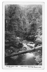 Shows the Taggerty River in Marysville in Victoria. Shows the river flowing through the forest. In the foreground a fallen tree lies across the river. On the reverse is a space to write a message and an address and to place a postage stamp. The postcard is unused.