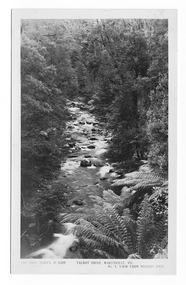Shows the view of the Taggerty River from Murray Pass near Marysville in Victoria. Shows the river flowing over rocks through the forest. On the reverse of the postcard is a handwritten message.
