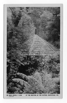 Shows a hut in the middle of the forest of large trees and tree ferns. The hut has a wooden shingle roof. On the reverse of the postcard is a space to write a message and and address and to place a postage stamp. The postcard is unused.