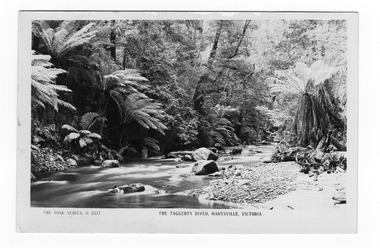 Shows the Taggerty River in Marysville in Victoria. Shows the river flowing over rocks through the forest and a small stony beach-like area on the right hand side. On the reverse of the postcard is a space to write a message and an address and to place a postage stamp. The postcard is unused.