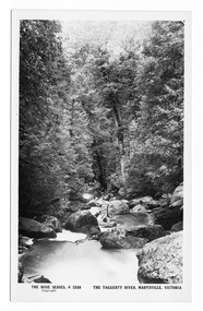 Shows the Taggerty River in Marysville in Victoria. Shows the river running over some large boulders through the forest. On the reverse of the postcard is a space to write a message and an address and to place a postage stamp. The postcard is unused.