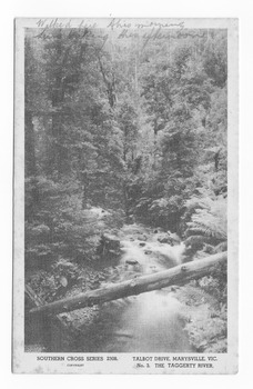 Shows the Taggerty River in Marysville in Victoria. Shows the river flowing through the forest. In the foreground a fallen tree lies across the river. On the reverse is a hand-written message in lead pencil.