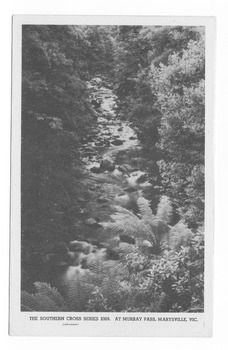 Shows the view of the Taggerty River from Murray Pass near Marysville in Victoria. Shows the river flowing over rocks through the forest. On the reverse of the postcard is a space to write a message and an address and to place a postage stamp. The postcard is unused.