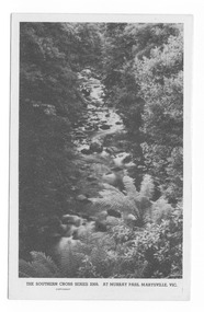 Shows the view of the Taggerty River from Murray Pass near Marysville in Victoria. Shows the river flowing over rocks through the forest. On the reverse of the postcard is a space to write a message and an address and to place a postage stamp. The postcard is unused.