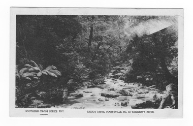 Shows the Taggerty River near Lady Talbot Drive in Marysville in Victoria. Shows the river flowing over rocks through the forest of trees and tree ferns. On the reverse is a hand-written message in lead pencil.