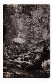 Shows Keppel Falls near Marysville in Victoria. Show the falls cascading down the mountain towards a wooden bridge that crosses over a bed of rocks. The falls and the bridge are surrounded by a forest of large trees and tree ferns. The title of the postcard is handwritten in white ink in the lower left hand corner. On the reverse of the postcard is a space to write a message and an address and to place a postage stamp. The postcard is unused.