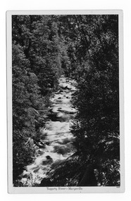Shows the Taggerty River near Marysville in Victoria. Shows a river flowing over rocks through a forest of trees and tree ferns. The title of the photograph is along the lower edge of the photograph.