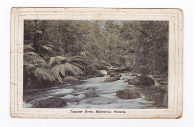 Shows the Taggerty River in Marysville in Victoria. Shows the river flowing over large rocks through a forest of trees and tree ferns. On the reverse is a handwritten message in black ink.