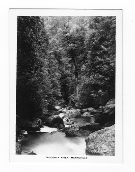 Shows the Taggerty River in Marysville in Victoria. Shows the river running over some large boulders through the forest. The title of the photograph is along the lower edge of the photograph.