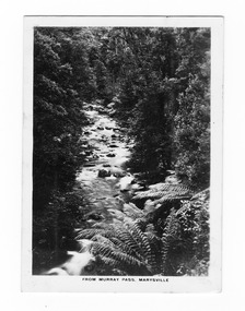 Shows the Taggerty River from Murray Pass near Marysville in Victoria. Shows a river flowing over rocks through a forest of trees and tree ferns. The title of the photograph is along the lower edge of the photograph.