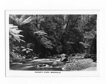 Shows the Taggerty River in Marysville in Victoria. Shows the river flowing over rocks through the forest and a small stony beach-like area on the right hand side. The title of the photograph is along the lower edge.