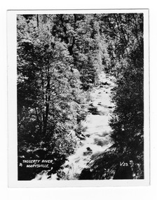 Shows the Taggerty River in Marysville in Victoria. Shows the river flowing over rocks through a forest of trees and tree ferns. The title of the photograph is handwritten in white ink on the lower edge.
