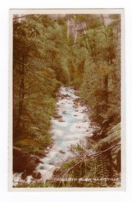Shows the Taggerty River in Marysville in Victoria. Shows the river flowing over rock through the forest. In the foreground there is a tree fern. The title of the photograph is handwritten in white ink on the lower edge.