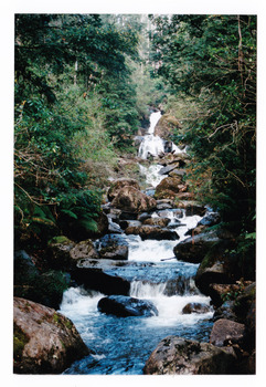 Shows Keppel Falls cascading down the mountain. Shows the waterfalls flowing over large rocks down several tiers of the waterfall. The waterfalls are surrounded by forest.