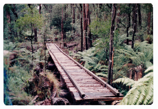 Shows the timber tramway bridge that is along the Michaeldene Walking Track near Marysville in Victoria.