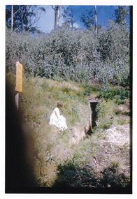 Shows a lady sitting near the entrance to an old fire dugout located on Mount Margaret near Marysville in Victoria.